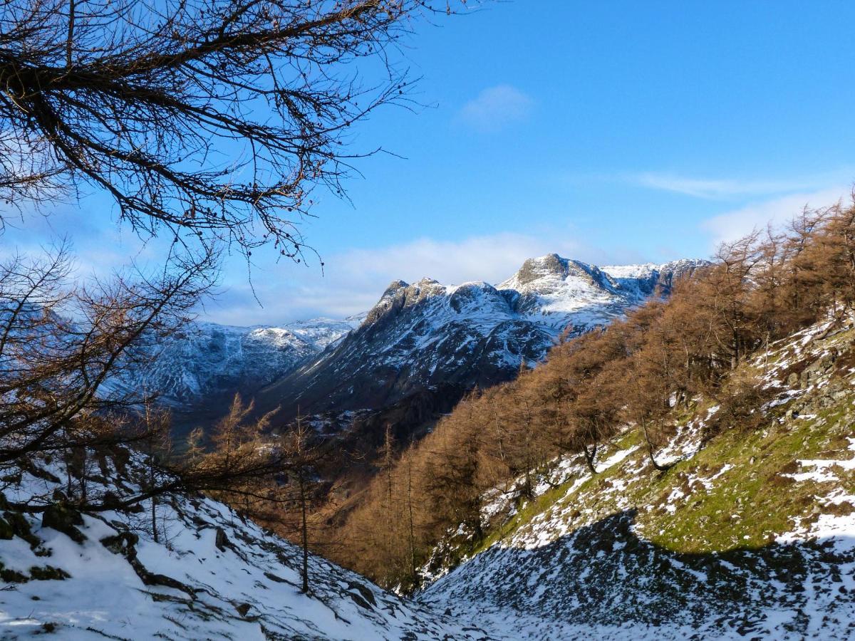 Yew - Woodland Cottages Bowness-on-Windermere Esterno foto
