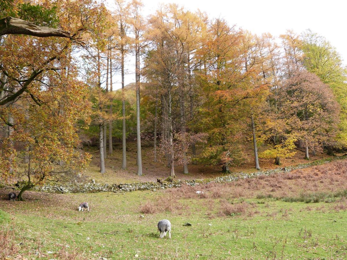 Yew - Woodland Cottages Bowness-on-Windermere Esterno foto